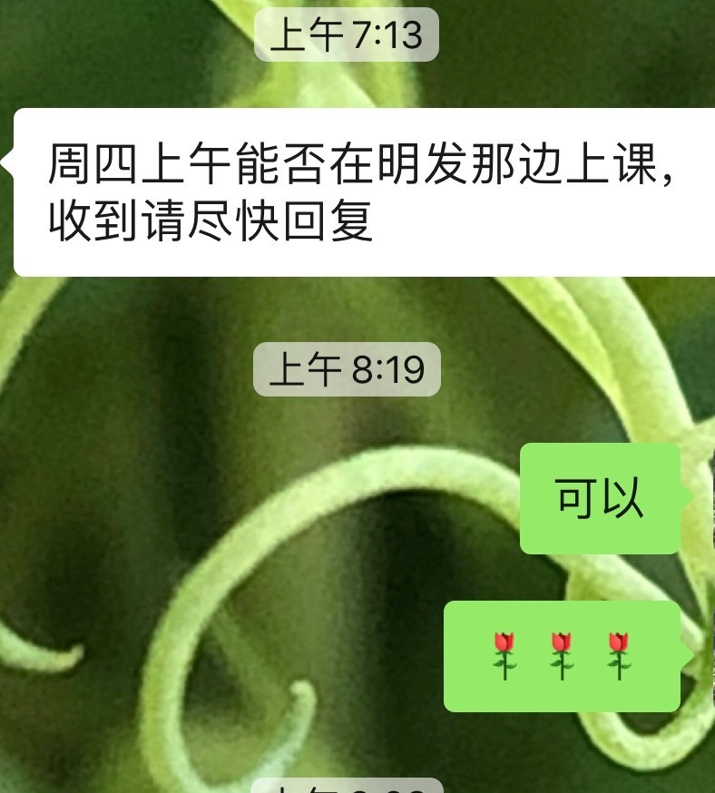 1597797102795666267.jpg