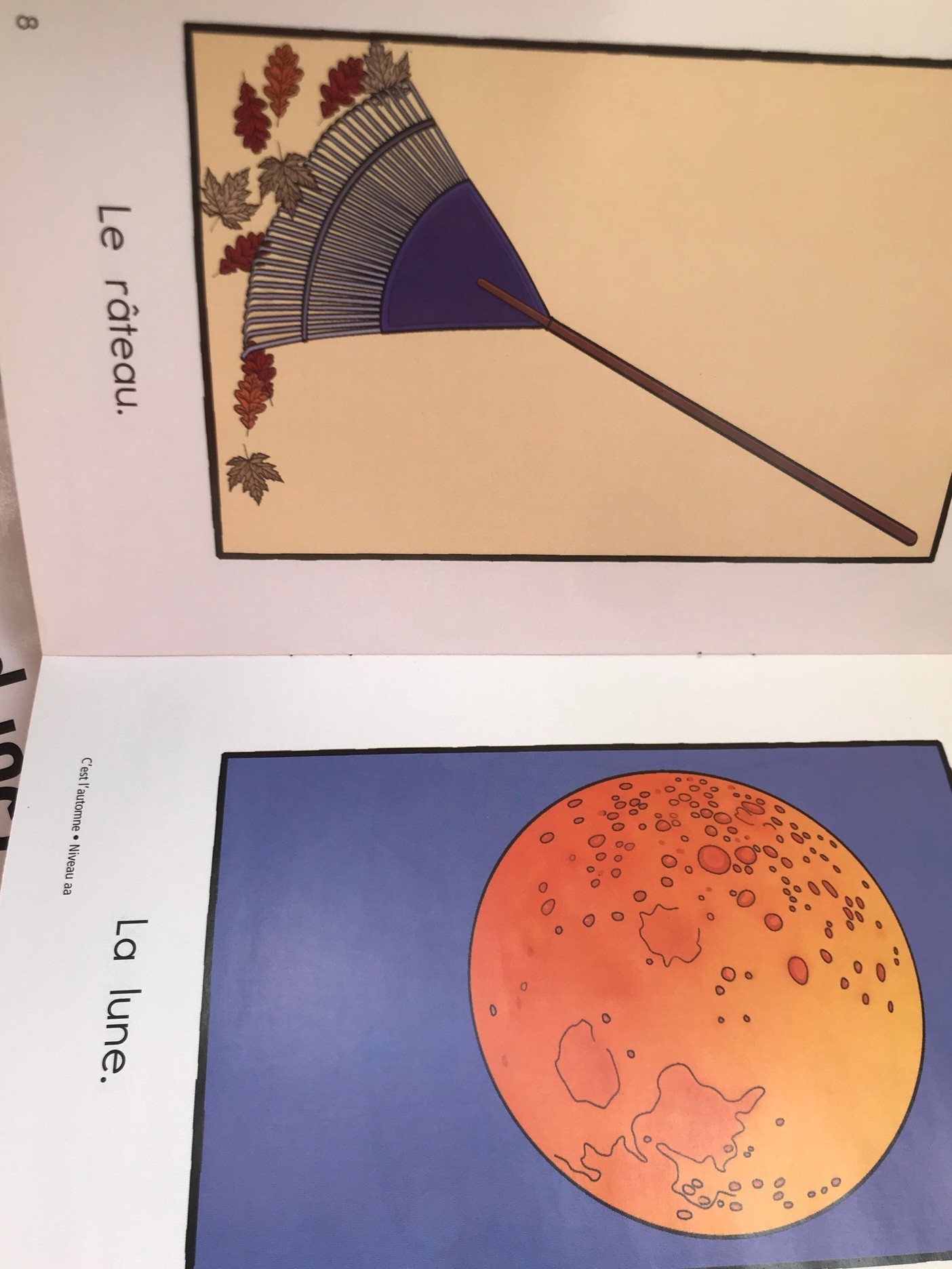 1610425718936245713.jpg